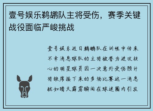 壹号娱乐鹈鹕队主将受伤，赛季关键战役面临严峻挑战
